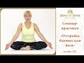 Семинар-практикум &quot;Отстройка базовых асан йоги&quot; (Reconstruction of basic yoga asanas)