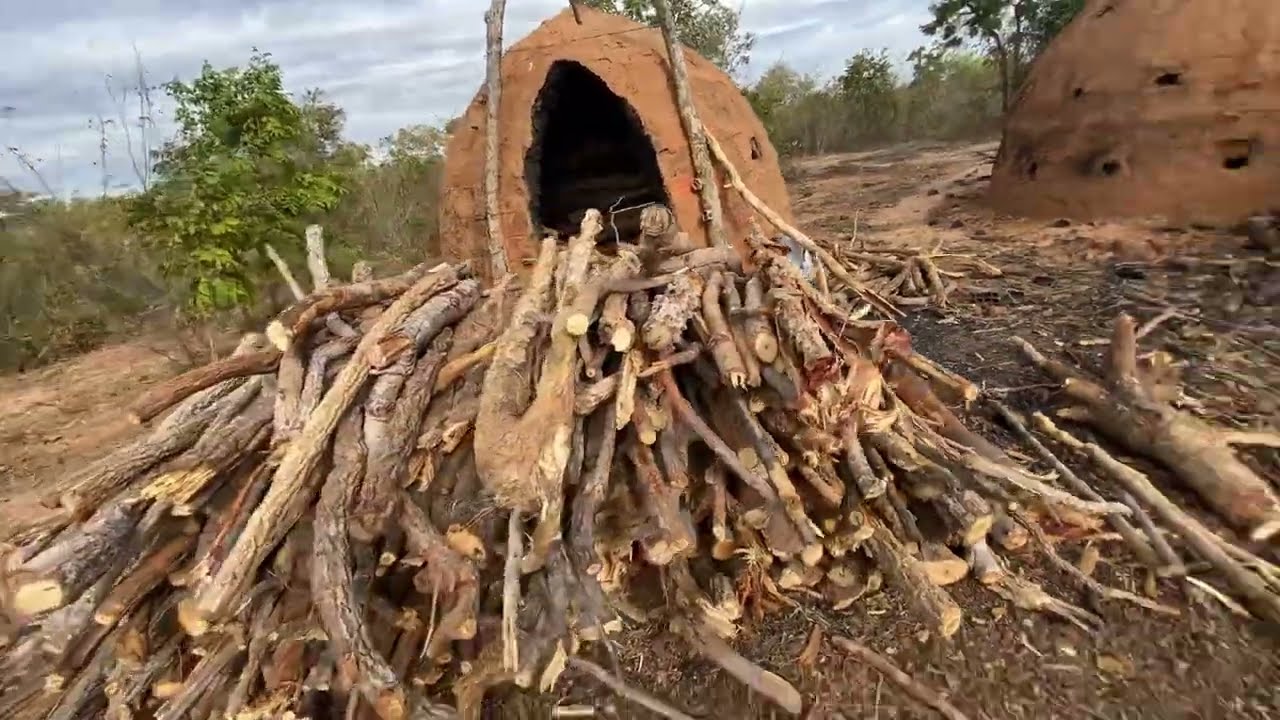 Enchendo mais um forno de carvão aqui na roça!!