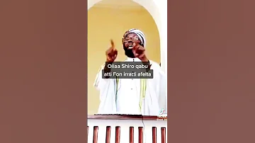 Sheikh Amiin Ibro Gorsa Bareedaa Qalbi Nama Seenu 