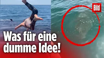 Kann man mit Periode ins Meer Haie?