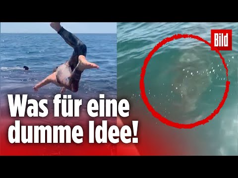 Video: Welche Tiere fressen Kalifornische Beifuß?