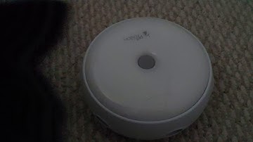 Feather replacement - PetFusion Ambush AKA Pounce toy