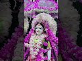 beautiful Darshan ISKCON of Vrindavan Chandrday mandir ||
