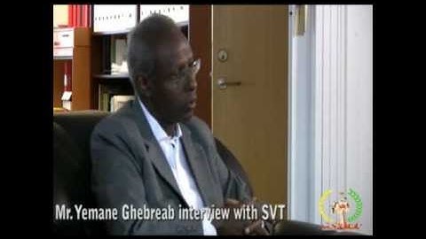 SVT interview with Mr Yemane Ghebreab.flv