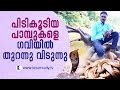 Vava Suresh releases captured snakes into Gavi Forest | Snake Master EP #233 | Kaumudy TV