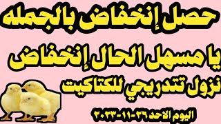 اسعار الكتاكيت اليوم سعر الكتاكيت اليوم الاحد ٢٦-١١-٢٠٢٣ في الشركات في مصر