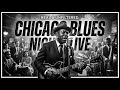 Derek Trucks, Gov’t Mule, Allman Brothers — Jam Blues Style Like Southern Guitar Improvisation