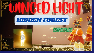All Winged Lights - Hidden Forest | Sky: Children Of The Light | Beginner Guide