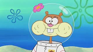 I Hate People In Squirrel Jelly