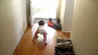 334 Days Old (19).MP4