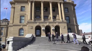 UCP backbenchers call for Kenney to resign
