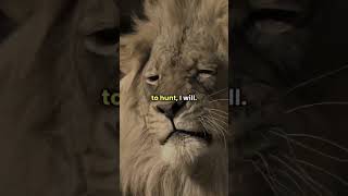 Acting Too Late Can Lead To Missed Opportunities