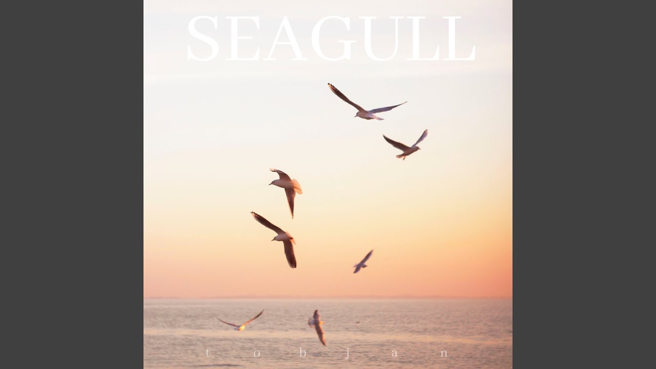 Watch Seagull on YouTube Watch Seagull on YouTube