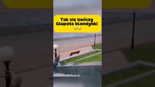 THAT'S HOW A BLONDE'S STUPIDITY ENDS🤣#memes #funny #shorts