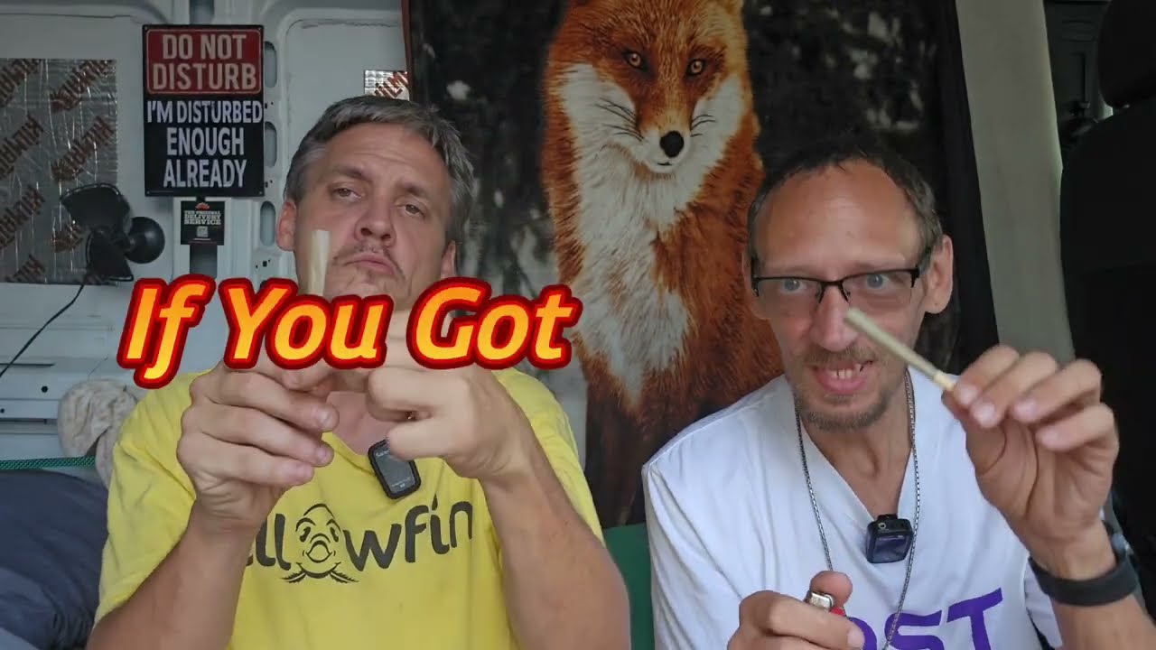 YouTube player