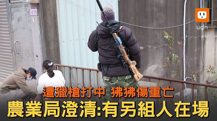 狒狒遭槍擊傷重死亡 農業局澄清：有另組人在場 - 天天要聞