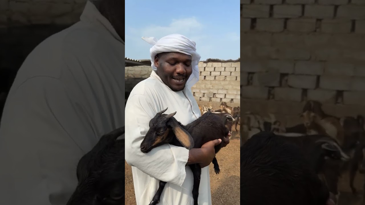 من المسوال الحين😂😂