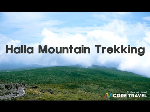 [Core Travel] Halla mountain trekking, Jeju Island - YouTube