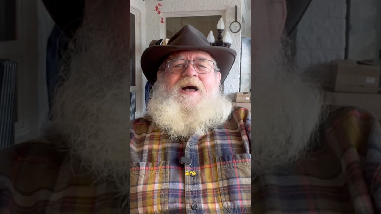 «Неудачная рыбалка»