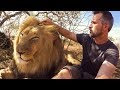 Brushing Bongani | The Lion Whisperer