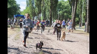 Забег с Собаками 2018 — Киев, Парк Дружбы Народов