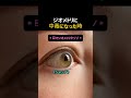 ジオメトリーに沼った結果ww #楽器