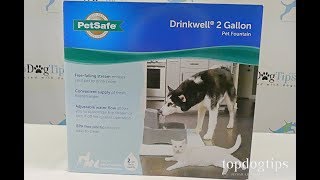 PetSafe Drinkwell Fountain for Dogs Review