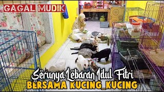 Gemes Edisi Lebaran Makan Ketupat dan Opor Ayam Bareng Kucing by Bubu Story The Cat 3,019 views 1 month ago 14 minutes, 50 seconds