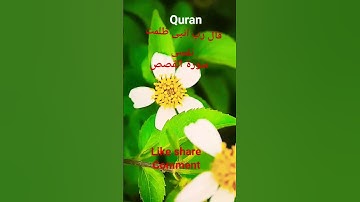 #القران_الكريم #تلاوه_خاشعه #قال رب انیی ظلمت نفسی #الشيخ محمود #القزاز#المصحف #foryou