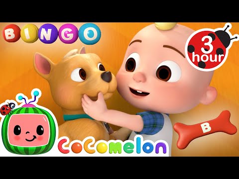 Who's A Good Boy?! BINGO 🐶 CoComelon - Nursery Rhymes and Kids Songs | 3 HOURS | After School Club