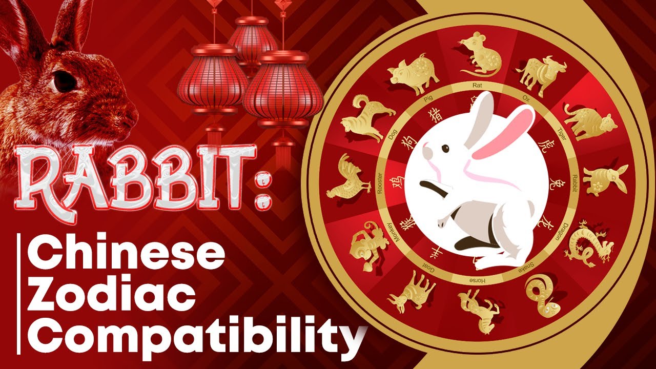 Chinese Zodiac Sign Rabbit Compatibility w/ Dog, Horse, Dragon, Snake ...