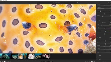 Post-Processing for Beginners: Basic Photoshop 6/7