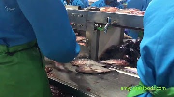 Tilapia GS processing