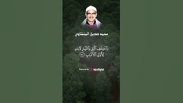 إن في خلق السماوات والأرض واختلاف الليل والنهارلآيات لأولي الألباب #محمد_صديق_المنشاوي