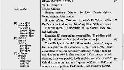 Lingua - 20.G - Reading Tutorial