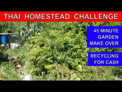 THAI GARDEN 45min CHALLENGE & RECYCLING Rural life Thailand Homestead THAI VLOG THAI VLOGG วิดีโอตลก