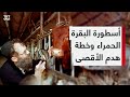 خرافة البقرة الحمراء عند اليهود وعلاقتها بهدم المسجد الأقصى