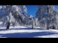 Sled Dogs Snowskates Skiing, Troodos Cyprus Sled Dogs Snowskates Skiing, Troodos Cyprus