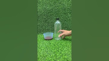 Sử Lý Trùn Chỉ Cho Cá Ăn #Shorts