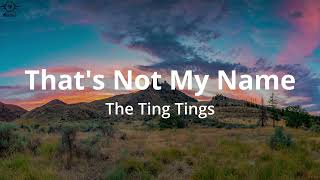 The Ting Tings - That's Not My Name (Lyrics)