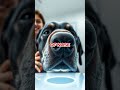 Unlock Your Dog's Unique Identity with Their Nose Print!