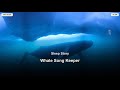 The Whale Song Keeper: A Year Beneath the Arctic Waters
