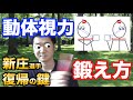 動体視力トレーニング　　動体視力の仕組みと鍛え方　2018年と2019年の論文より【新庄剛志選手のプロ野球選手復帰の鍵】