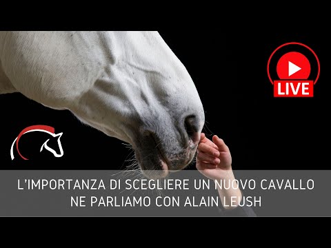Video: Tutto ciò che devi sapere sui pony e la loro cura