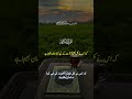 Darod o salam mahboob peghambar hazrat muhammad Saw| #quran #prophetmuhammad #darood #islamichistory