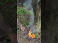 SALE-Propane Flame Thrower #propaneaccessories #propane #propaneflamethrower #flamethrower