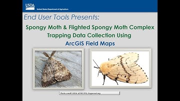Spongy Moth and Flighted Spongy Moth Complex Trapping Surveys Data Collection using ArcGIS Field Map