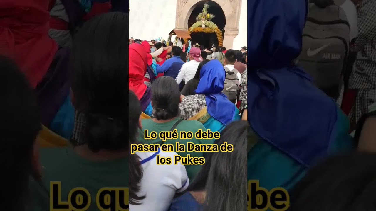 #danza de los #pukes #tigres #2023 #naranjadetapia LO QUE NO DEBE PASAR #pelear #viral #shorts