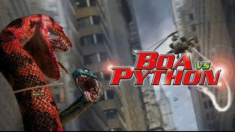 BOA VS. PYTHON (2004) / músic vídeo