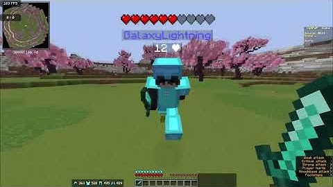 Minecraft 1.21.1 Montage